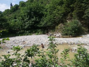 Dere Kenarına İnen Ayının Bu Kez Cansız Bedeni Bulundu