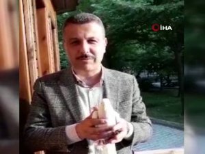 Ankara’dan Kaçan Güvercini Boyabat’ta Belediye Başkanı Buldu
