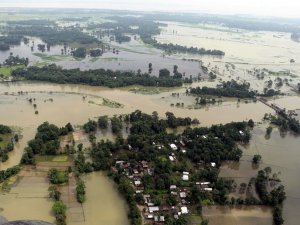 Hindistan’da Sel: Vahşi Hayvanlar Firarda