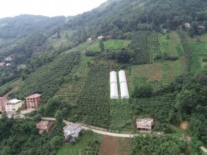 Karadeniz İnsanını Zorluklar Hiç Yıldırmıyor