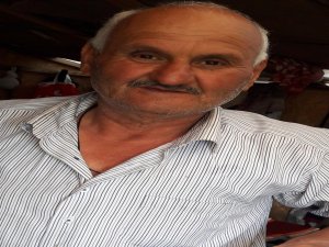 Giresun’da Kadavra Köpeği İle Ceset Parçaları Aranıyor