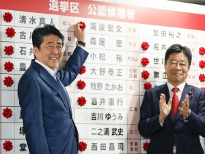 Japonya’da Üst Meclis Seçimlerini Abe Kazandı