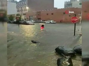 New York’ta Sel
