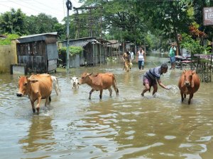 Hindistan Sellerle Boğuşmaya Devam Ediyor