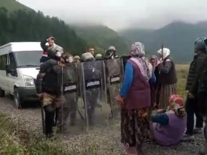 Gümüşhane’de Köylüler ile Jandarma Arasında Yayla Yolu Gerginliği