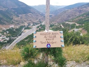 Torul’da Her Yeni Doğan İçin Bir Fidan Dikiliyor