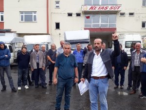 İflas Eden Süt Fabrikasının Satışının Durdurulmasına Üreticilerden Tepki