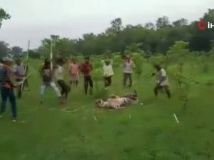 Hindistan’da Kaplanı Öldüresiye Dövdüler