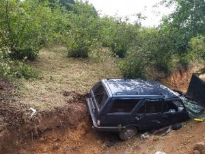 Ordu'da otomobil fındık bahçesine düştü: 8 yaralı