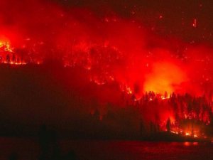 Sibirya’da 3 Milyon Hektar Orman Kül Oldu