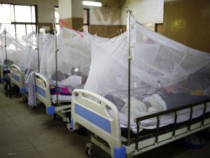 Şimdiye Kadar Görülenin En Kötüsü !