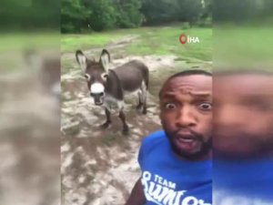 Eşek Sahibiyle Şarkı Söyledi