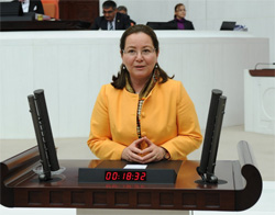 Demirel Rize'ye Geliyor