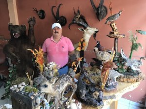 Ölü Yaban Hayvanlarını Doldurup İş Yerinde Sergiliyor