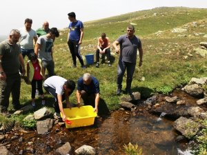 Giresun’da Dereler Balıklandırılıyor