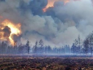 Sibirya Yangını İçin Rus Askeri Uçağı