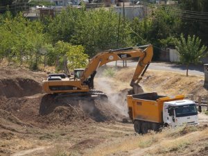 Hdp’li Belediyeden Ağaç Katliamı