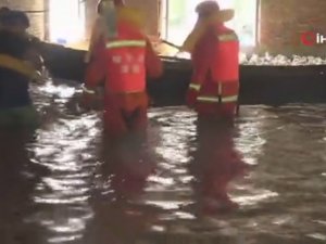 Selde Mahsur Kalan 600 Kaz Kurtarıldı