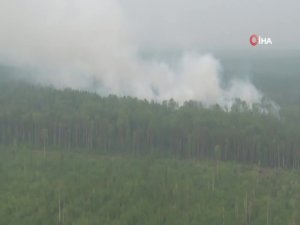 Orman Yangınları Söndürülemiyor