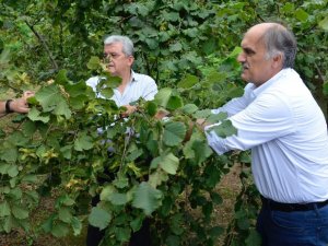Ak Parti Giresun Milletvekili Cemal Öztürk: