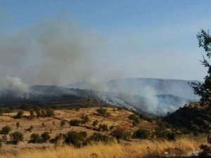 Güney Kıbrıs’ta Çıkan Yangın Kontrol Altına Alınamıyor