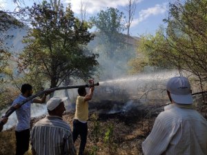 Gümüşhane’de Rüzgarın Kırdığı Kavak Ağacı Yüksek Gerilim Hattına Düştü