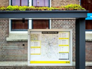 Utrecht, Otobüs Duraklarının Üzerini Yeşillendirdi