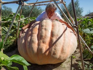 Tam 215 Kilo ! Görenler Şaşkına Dönüyor