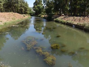 Fethiye Körfezi Ölüyor