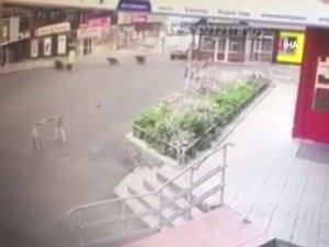 Şehre İnen Ayılar Ortalığı Birbirine Kattı