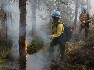 Orman Yangını Yerleşim Yerlerine Sıçradı