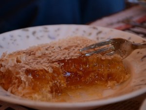 Gümüşhane’de Bal Verimi Son 10 Yılın En Düşük Seviyesinde