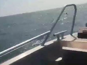 Deniz Yatağında Uyuyakalan Kadın Azak Denizi’nde Kurtarıldı