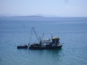Didim’de Balıkçılar Denize Açıldı