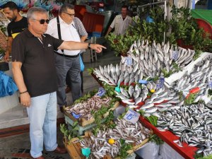 Balık Tezgahları Hareketlendi, Hamsi Dolardan Hızlı Düşüyor