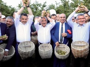 ‘Fındığın Başkenti’ Sloganı Tartışmaya Yol Açtı