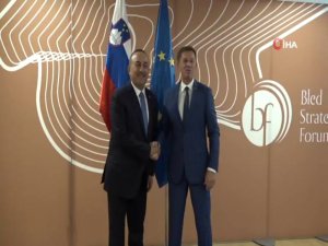 Dışişleri Bakanı Çavuşoğlu, Slovenya’da