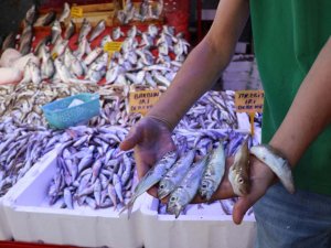 Palamut Yok, Umut Hamside