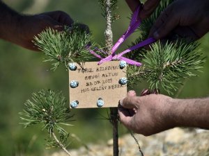 Bu İlçede Her Doğan Bebek İçin Fidan Dikiliyor