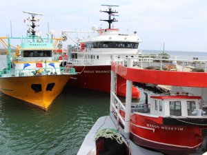 Palamut Avından Aradığını Bulamayan Trabzonlu Balıkçıların Umudu Hamsi Oldu