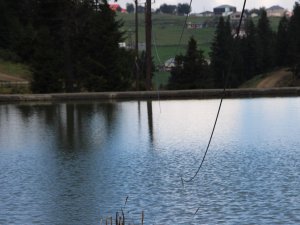 Hırsızlar 300 Haneli Yaylanın İletişimini Kestiler