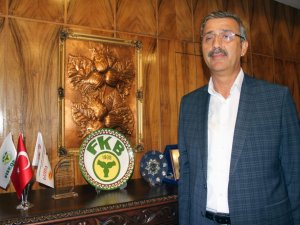 Bayraktar, Fındık Fiyatının Düşüş Nedenlerini Açıkladı