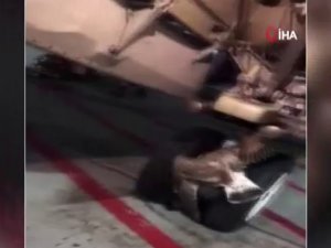 Rus Uçağının İniş Takımlarına Kuş Sıkıştı