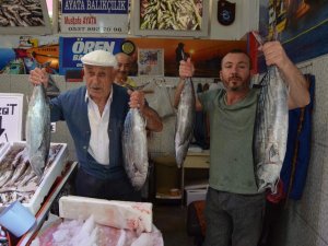 Trabzon Açıklarında Avlanan Torikler Tezgâhları Süslemeye Başladı