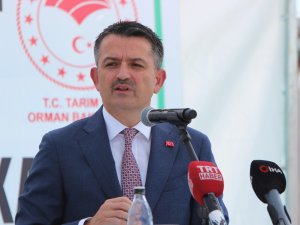 "Pancar Şekeri Satışında Yüzde 14 Artış Sağlandı"