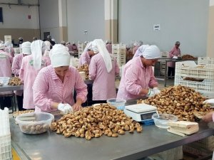 Nazilli Ticaret Borsası’ndan Cumhurbaşkanı Erdoğan’a Teşekkür