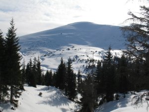 Sis Dağı Kayak Merkezi İçin Harekete Geçildi