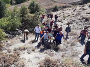 Cevizden Düşen Kadını Bir Kilometre Sedyede Taşıyarak Ambulansa Ulaştırdılar