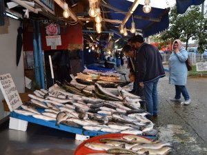 Hamsi 3 Günde Fiyatını 5’e Katladı
