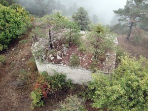 Tarihi Kilisenin Çatısında Büyüyen Ağaçlar Görenlerin Dikkatini Çekiyor